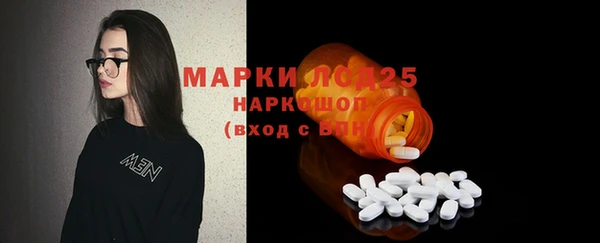 ГАЛЛЮЦИНОГЕННЫЕ ГРИБЫ Алексин